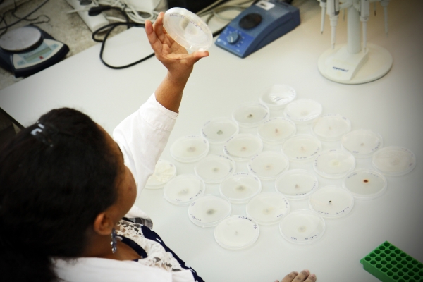 Foreign students and scientists with a chance for grants zdjęcie