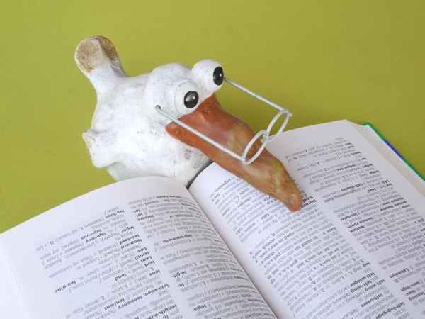 Nowe programy i plany studiów od roku akad. 2019/2020 zdjęcie