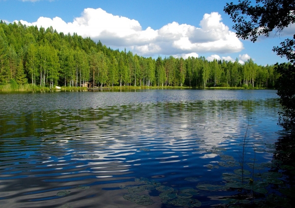 Spotkanie z Konsulem Honorowym Finlandii zdjęcie