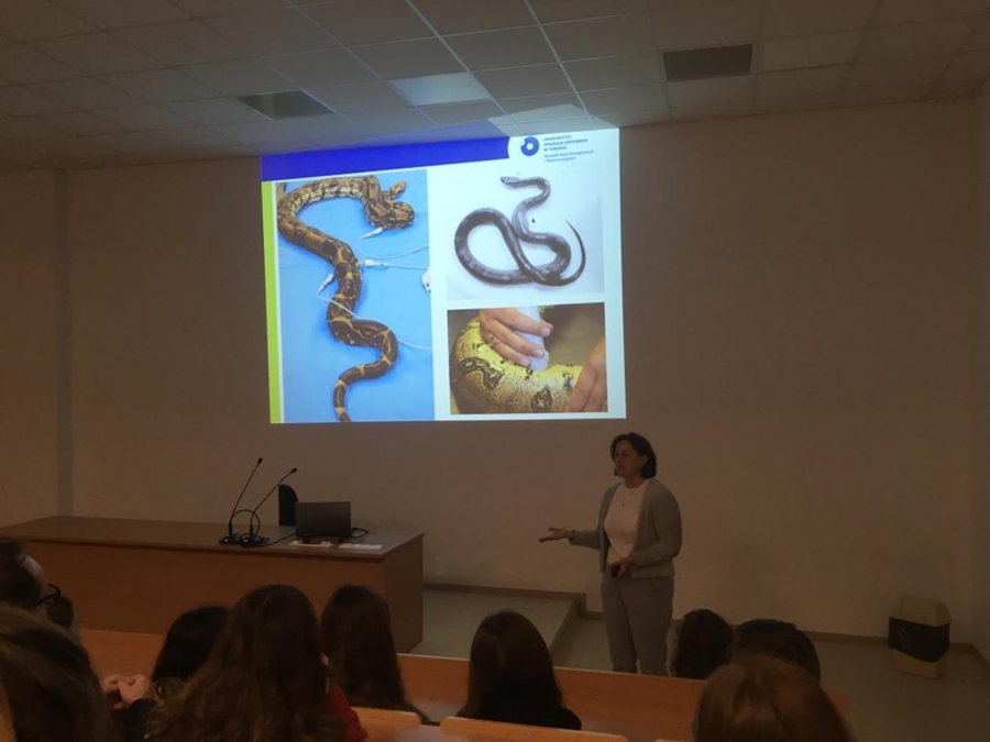 Pracownicy Instytutu Medycyny Weterynaryjnej na Nocy Biologów 2020 zdjęcie