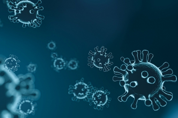 Announcements concerning the SARS-CoV-2 spread prevention zdjęcie