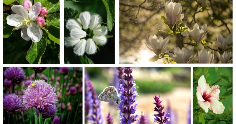 obrazek wiadomości: Wyniki konkursu fotograficznego obrazek wiadomości: Wyniki konkursu fotograficznego