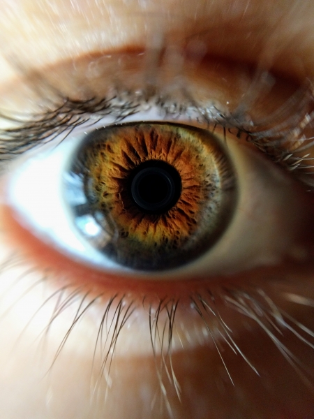 Nowe eye trackery zdjęcie