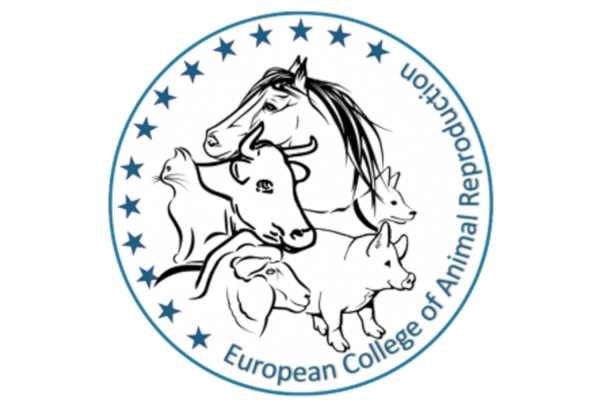 Oferta rezydentury w celu uzyskania europejskiej specjalizacji z rozrodu zwierząt zdjęcie