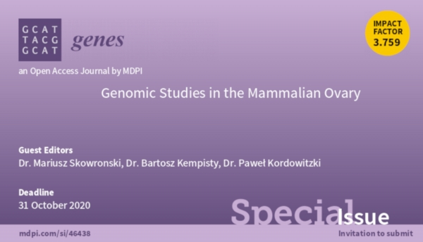 Genomic Studies in the Mammalian Ovary - Message from the Guest Editors zdjęcie