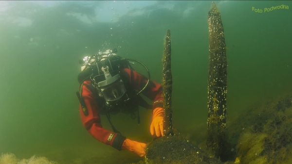 Archeologiczne rekonstrukcje w Zatoce Puckiej zdjęcie