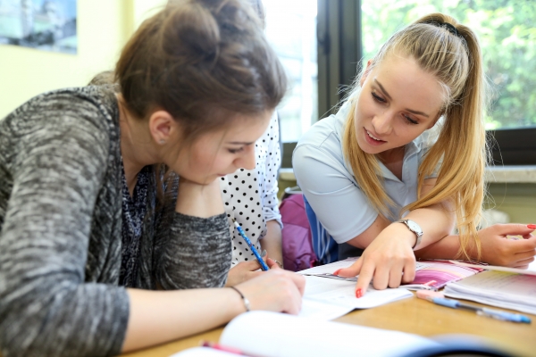 Studenci YUFE na naszych kursach zdjęcie