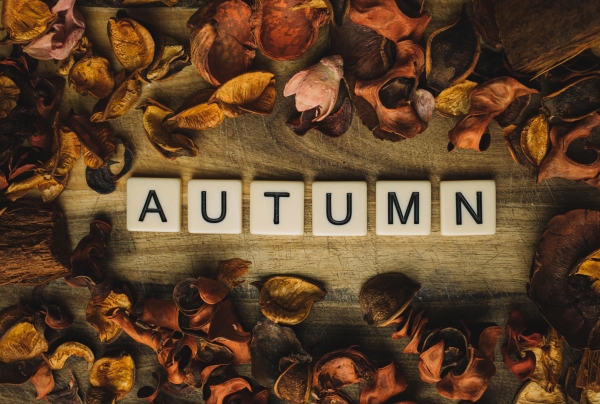 #ReThink Autumn Summer School zdjęcie