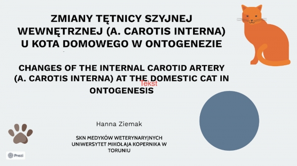 Studentka III roku weterynarii w gronie laureatów XXV Międzynarodowej Konferencji Studenckich Kół Naukowych we Wrocławiu! zdjęcie