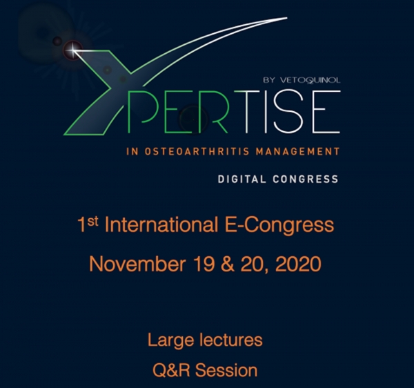 Dr Grzegorz Wąsiatycz prelegentem na 1st International E-Congress Congress for Osteoarthritis in dogs zdjęcie