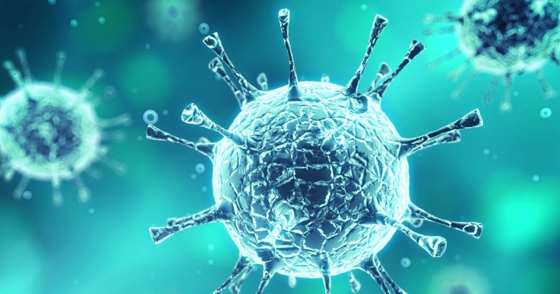 Źródło: Puls Medycyny https://pulsmedycyny.pl/jak-dlugo-potrafia-przetrwac-koronawirusy-982929 iStock Zdjęcie ilustracyjne