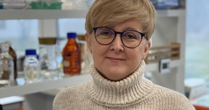 obrazek wiadomości: Powołanie Pani Prof. dr hab. Adriany Szmidt-Jaworskiej do zespołu ds. opracowania Strategii Uniwersytetu w zakresie kształcenia. obrazek wiadomości: Powołanie Pani Prof. dr hab. Adriany Szmidt-Jaworskiej do zespołu ds. opracowania Strategii Uniwersytetu w zakresie kształcenia.