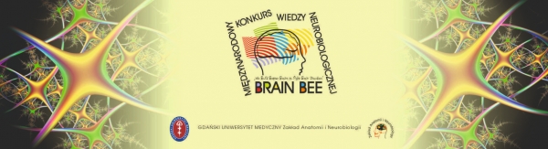 Konkurs Wiedzy Neurobiologicznej BRAIN BEE zdjęcie