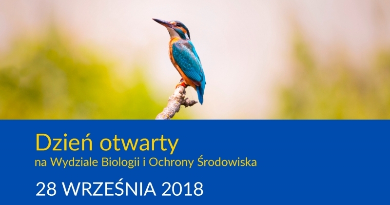 Dzień Otwarty zdjęcie