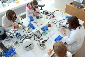 Studies in our Faculty zdjęcie