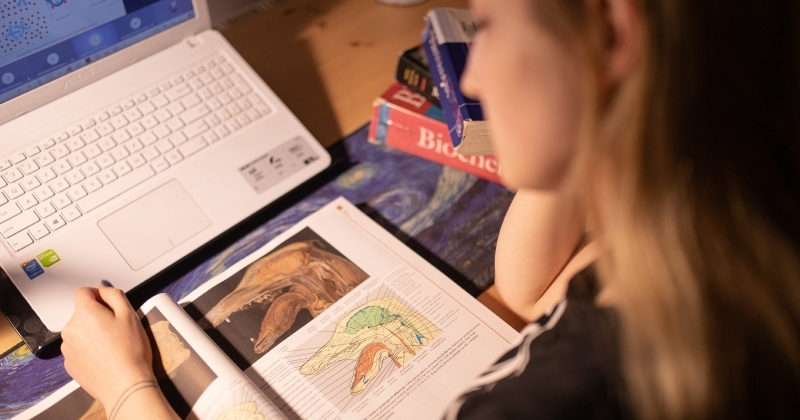 Exam session in the remote mode zdjęcie