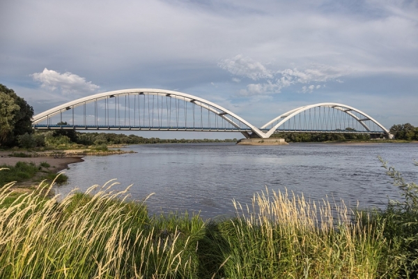 Spotkanie w ramach cyklu "Science Bridges" zdjęcie