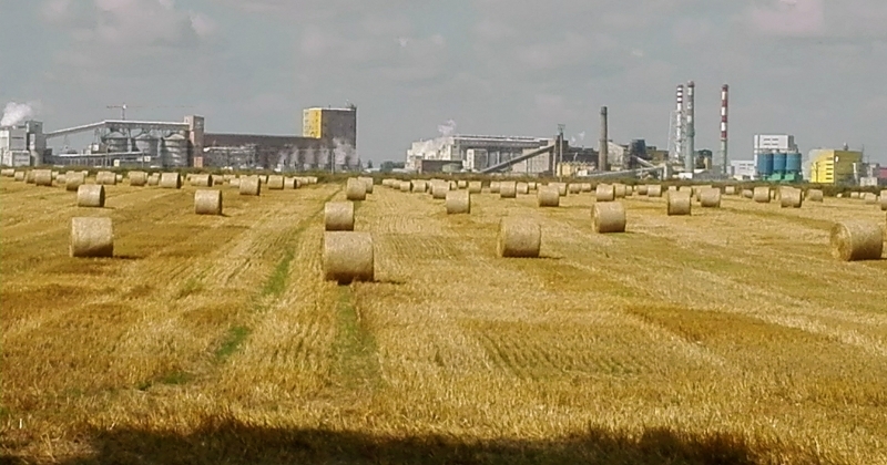 Conference „Plant productivity and food safety: Soil science, Microbiology, Agricultural Genetics and Food quality” (15-17.09.2021 r.) Zdjęcie ilustracyjne