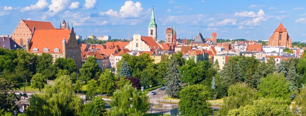 Zielone kreacje Torunia