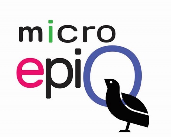 Projekt MicroEpiQ startuje ze stroną internetową!