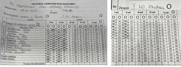 Sport - piłka siatkowa