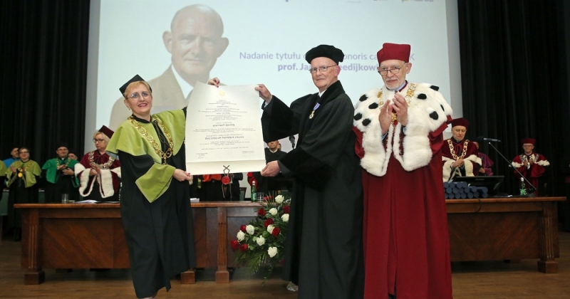 obrazek: fot.Andrzej Romański Zdjęcie ilustracyjne