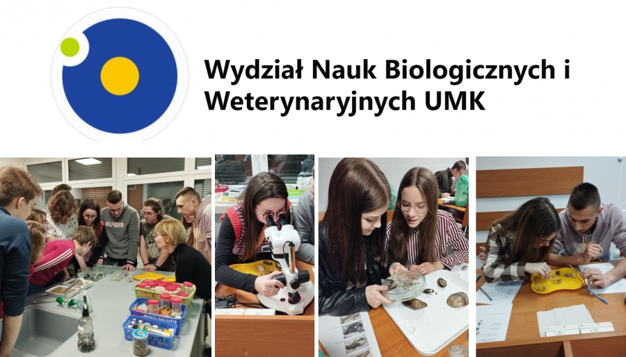 obrazek: Zdjęcie ilustracyjne