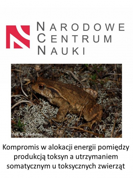 Stypendium dla studenta w ramach projektu NCN OPUS-23 Zdjęcie ilustracyjne