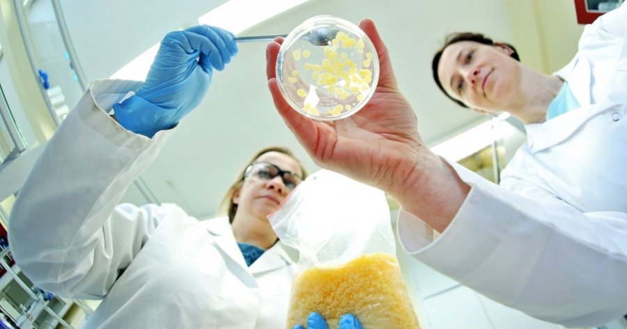 Dr Justyna Kozłowska and dr Joanna Skopińska-Wiśniewska are working to develop a specialist skin care cream for people after melanoma treatment photo:photo: Andrzej Romański Dr Justyna Kozłowska and dr Joanna Skopińska-Wiśniewska are working to develop a specialist skin care cream for people after melanoma treatment
