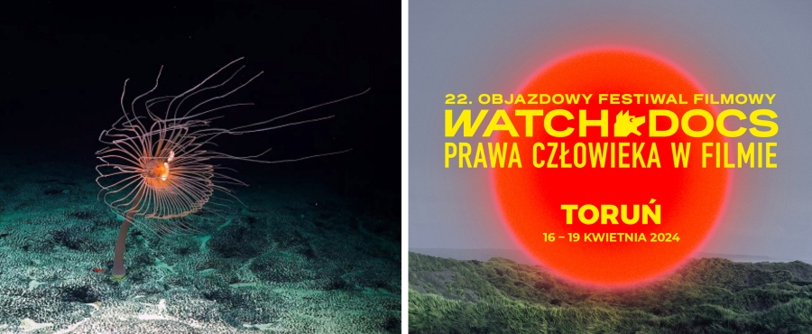 obrazek: Zdjęcie ilustracyjne