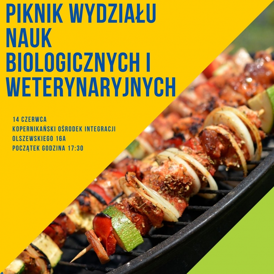 Piknik Wydziałowy fot.Łukasz Czarnecki Zaproszenie na II wydziałowy piknik. Jest napis na tle szaszłyków na grillu. Wyglądają przepysznie.