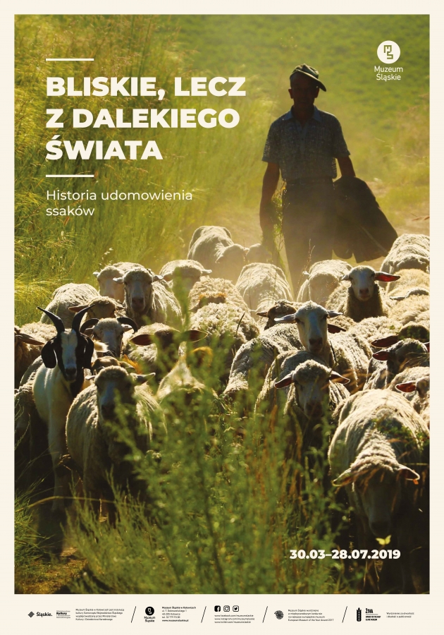 BLISKIE, LECZ Z DALEKIEGO ŚWIATA Historia udomowienia ssaków zdjęcie