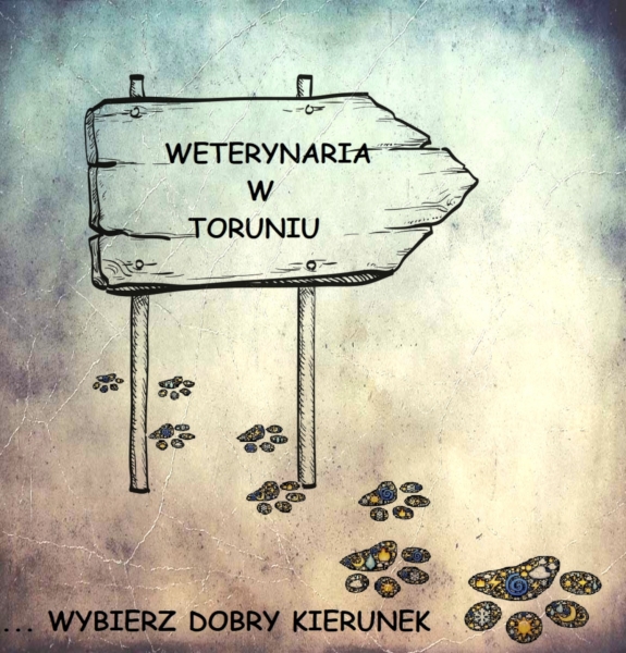 Rekrutacja - czas start! zdjęcie