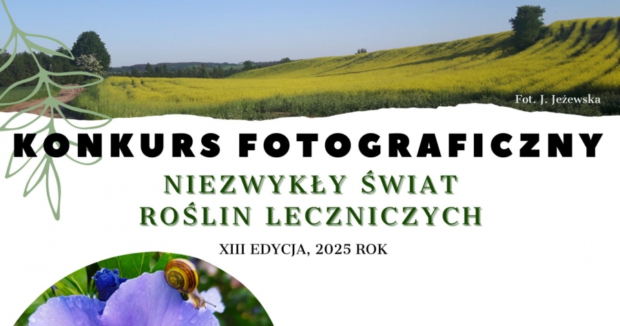 Zdjęcie ilustracyjne