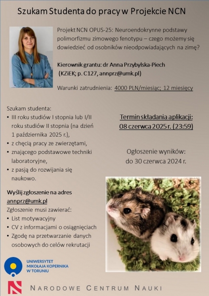 Szukam Studenta do pracy w Projekcie NCN Zdjęcie ilustracyjne