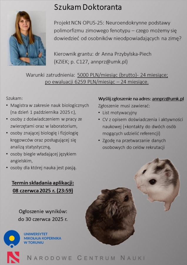 Szukam Doktoranta fot.Anna Przybylska-Piech Zdjęcie ilustracyjne