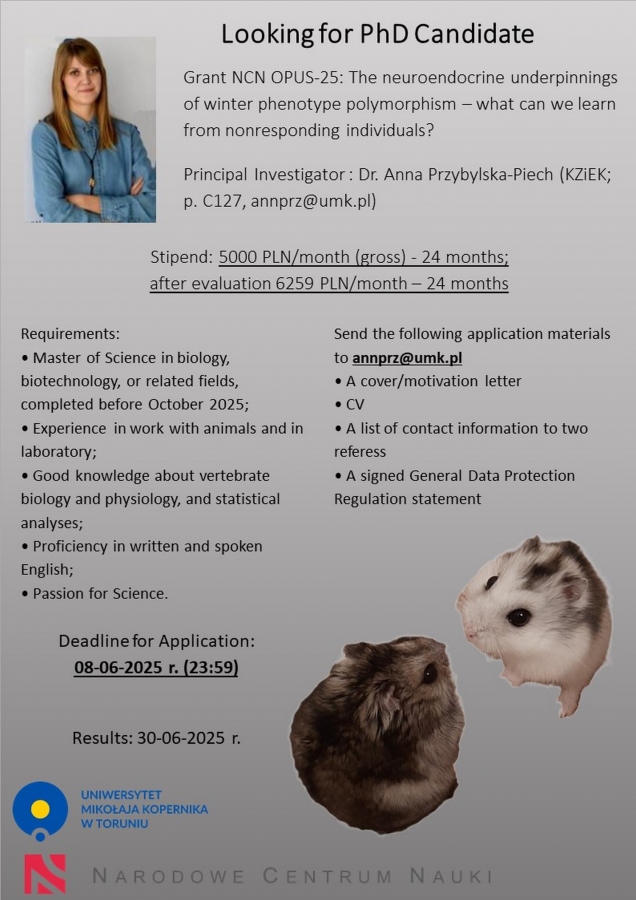 Looking for PhD Candidate photo:Anna Przybylska-Piech Zdjęcie ilustracyjne