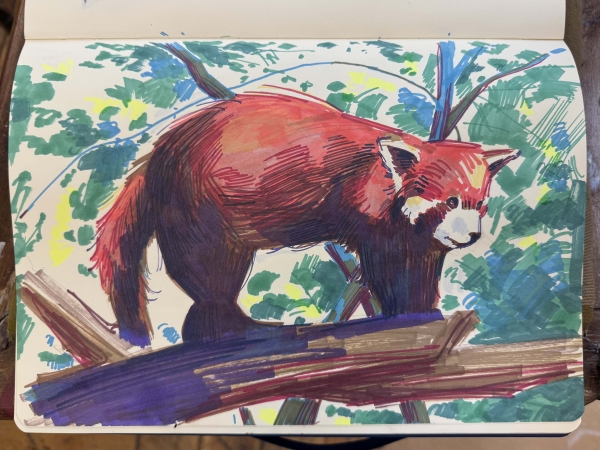 PLENER W OGRODZIE ZOOBOTANICZNYM W TORUNIU Zdjęcie ilustracyjne
