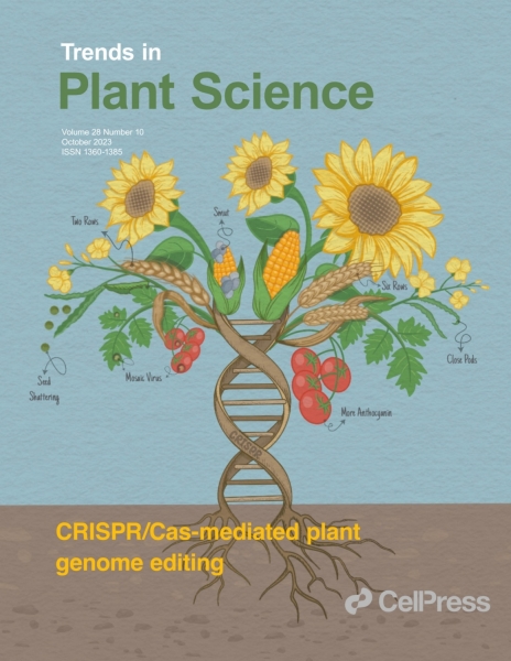 Publikacja współautorstwa dr inż. Justyny Bonieckiej została opublikowana w Trends in Plant Science Zdjęcie ilustracyjne