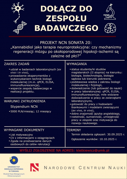 Dołącz do zespołu badawczego w projekcie NCN SONATA-20 Zdjęcie ilustracyjne