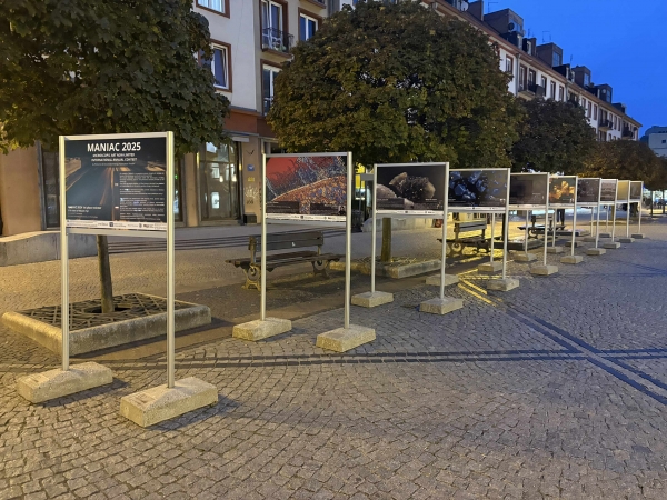 WYRÓŻNIENIE DLA PAULI ŚWITUSZAK-ŻYWICY Zdjęcie ilustracyjne