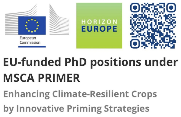 PRIMER MSCA Doctoral Network PhD Opportunities Zdjęcie ilustracyjne