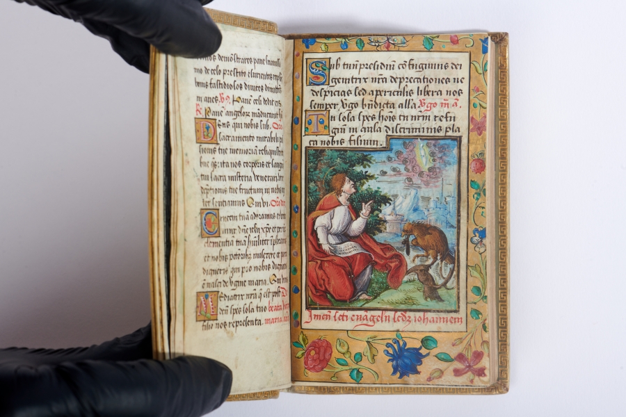 obrazek:  Zdjęcie ilustracyjne