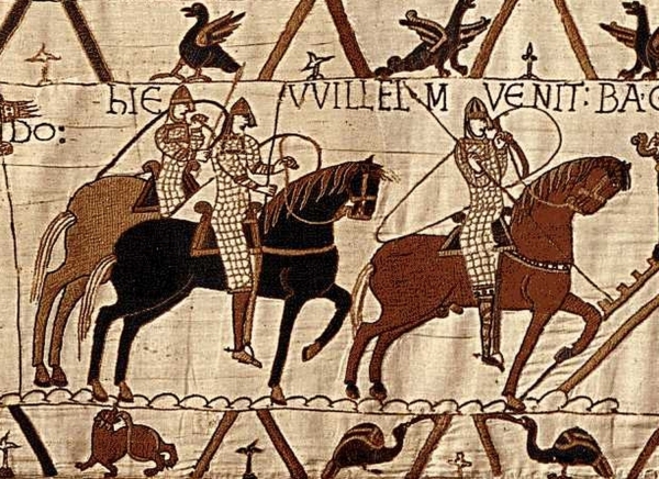 Projekt "Archeoequus" zdjęcie