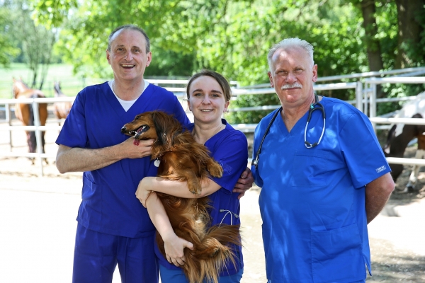 fot. A. Romański fot. A. Romański