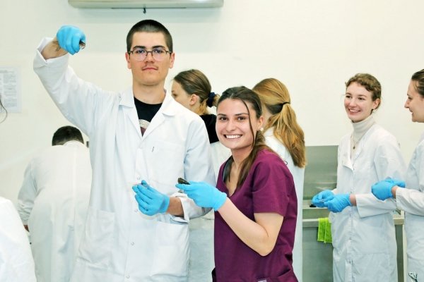 fot. A. Romański fot. A. Romański