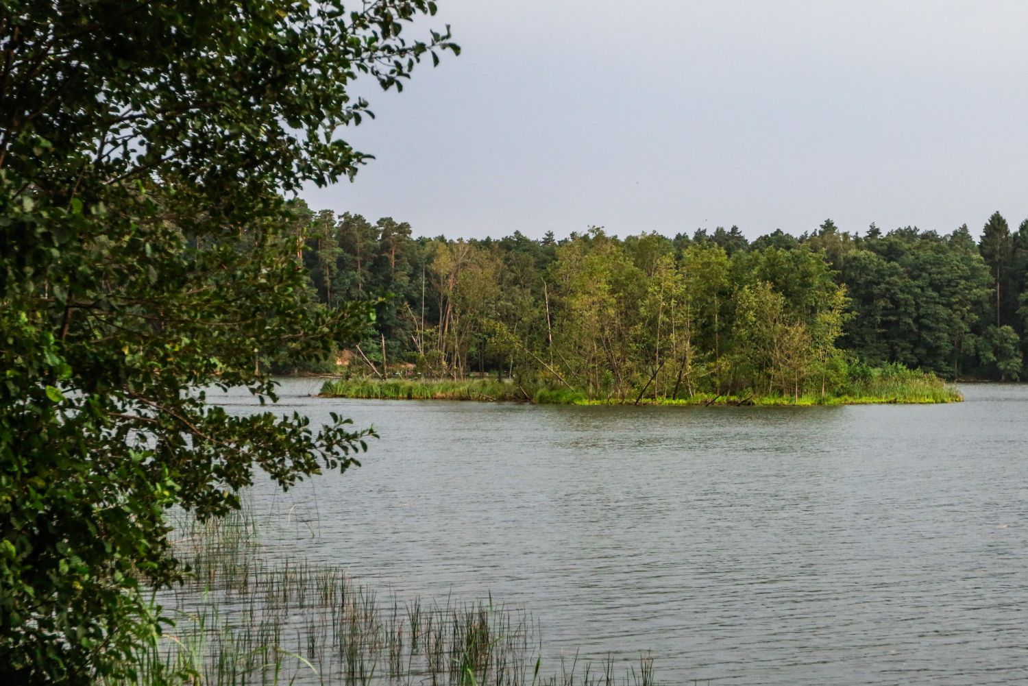 Kliknij, aby powiększyć zdjęcie