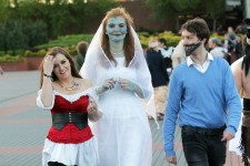  [fot. Andrzej Romański]