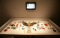  [fot. Adam Zakrzewski]