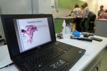 Noc Biologów (13.01.2017) [fot. Andrzej Romański]